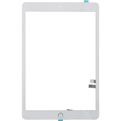 Brilliance Pro iPad 9 2021 Digitizer White With Home button Flex