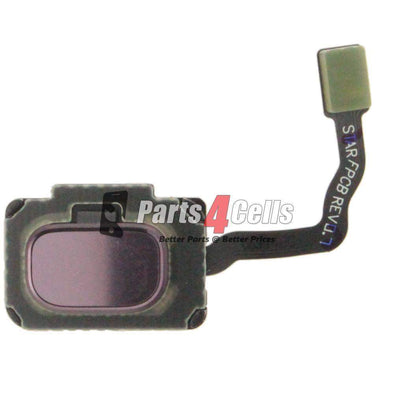 Samsung S9 Plus Home Button Flex Cable - Luliac Purple