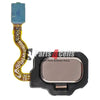 Samsung S8 Plus Home Button Flex Gold - Flex Cable